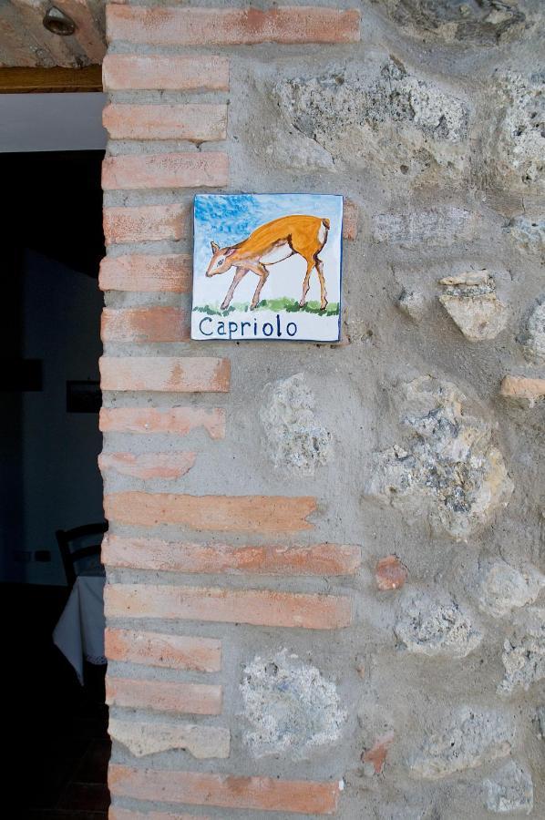 Agriturismo Fontesettimena Appartamento Rondine- Appartamento Capriolo Вольтерра Экстерьер фото